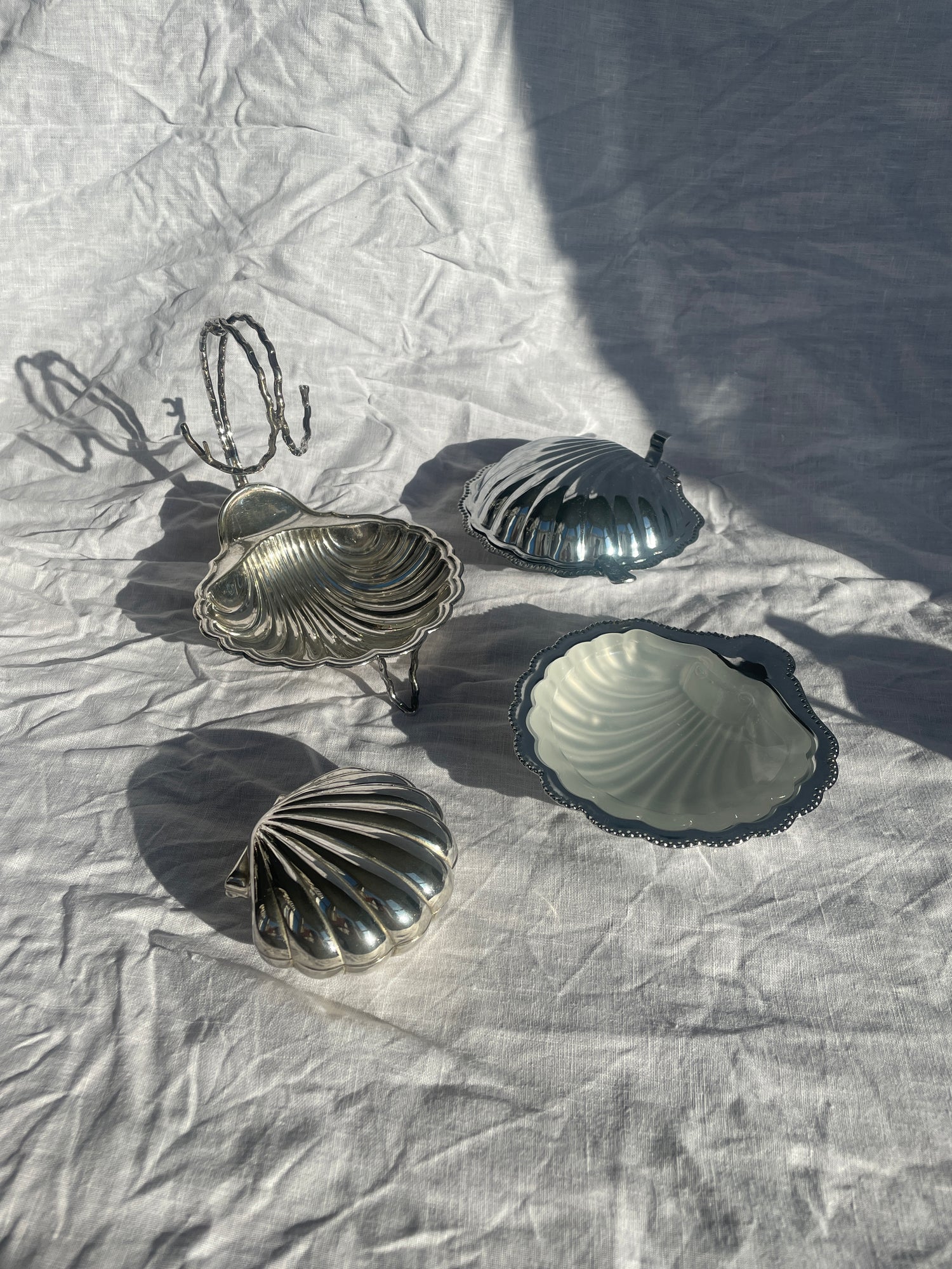 Shells & trinket dishes