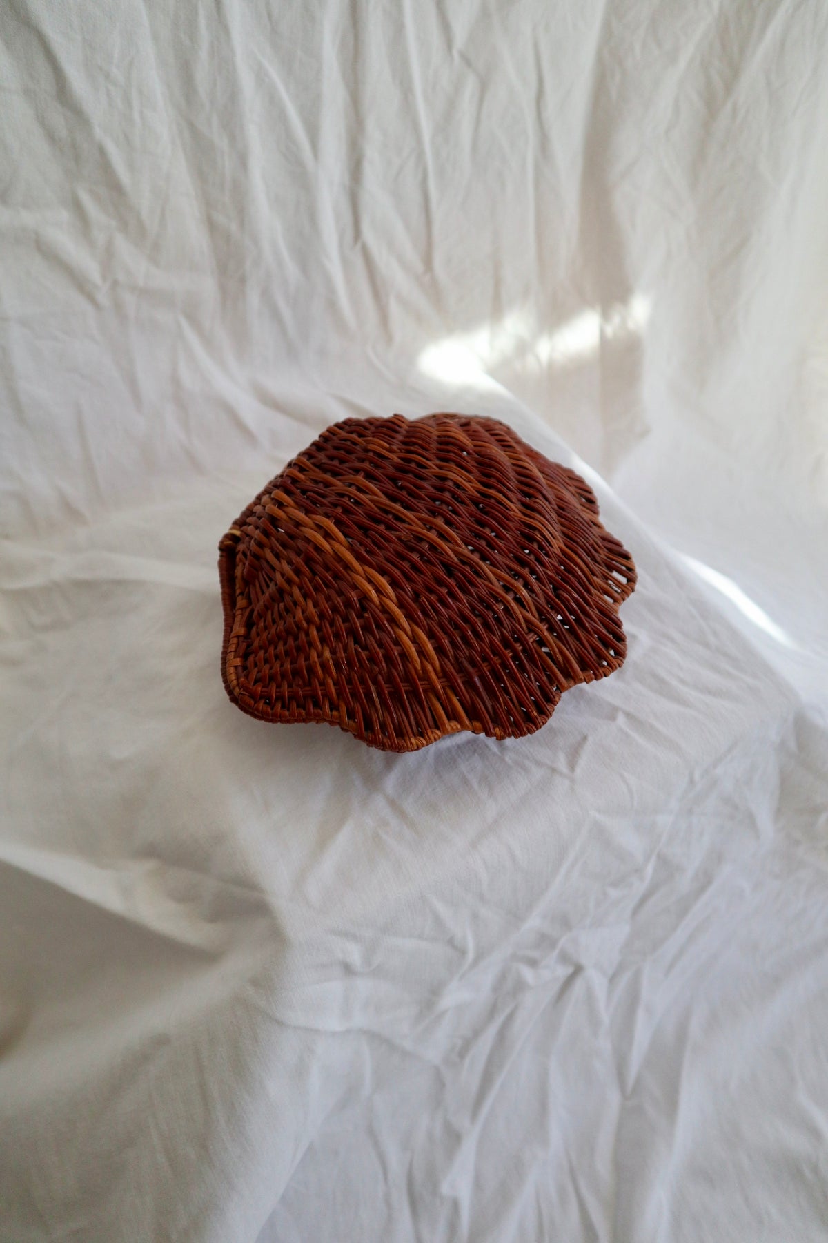 Antique French shell basket