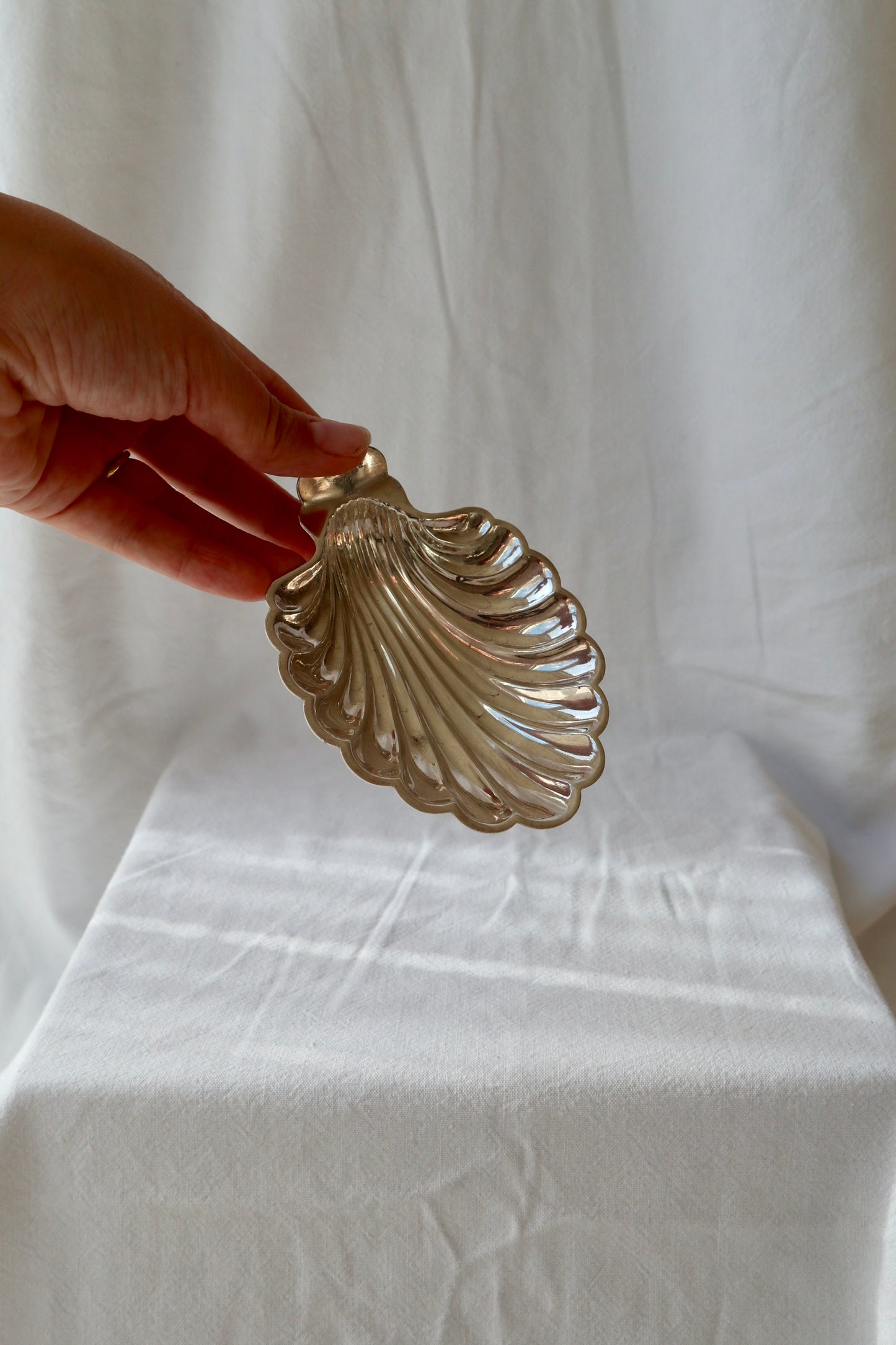 Silver plated shell trinket dish
