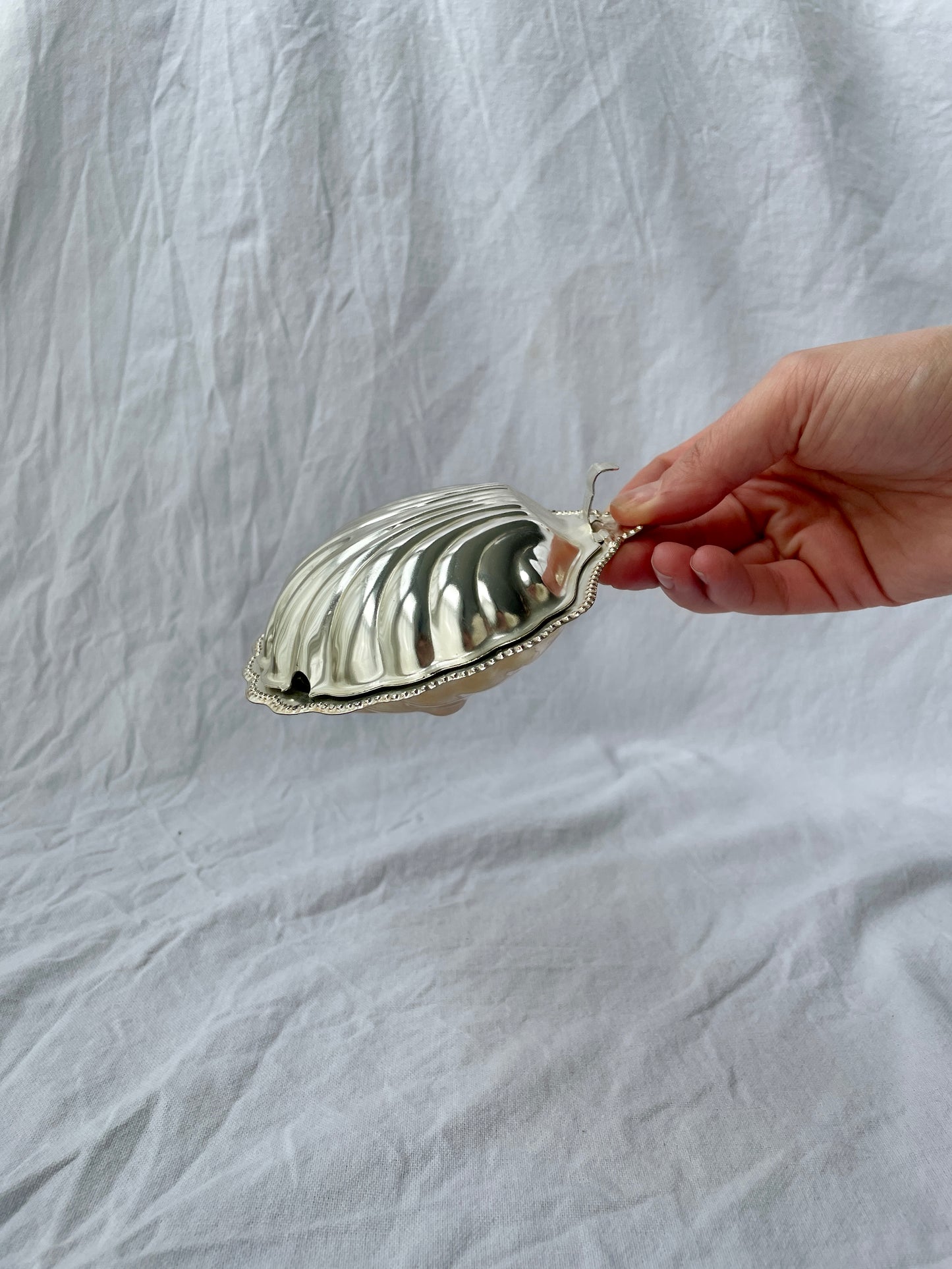 Silver Plated Shell Caviar/Butter Dish