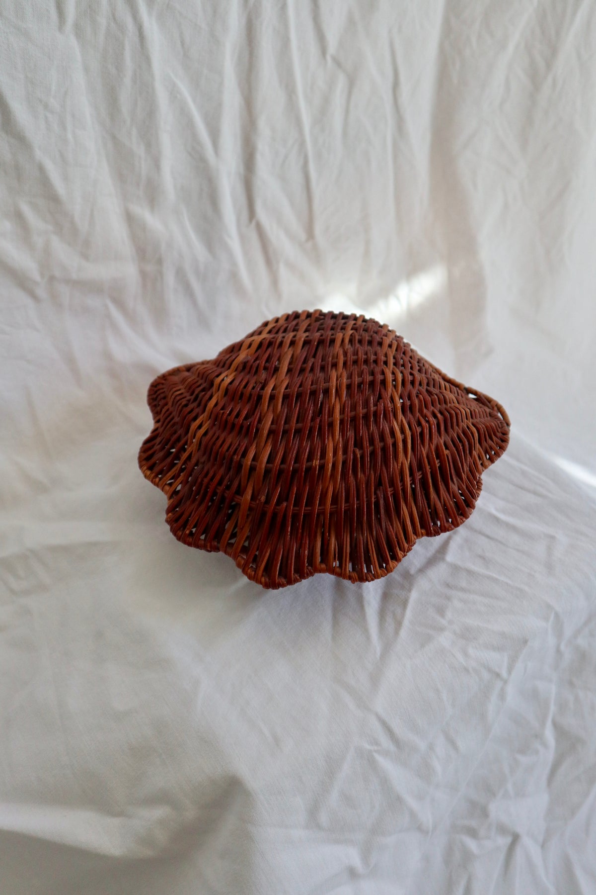 Antique French shell basket