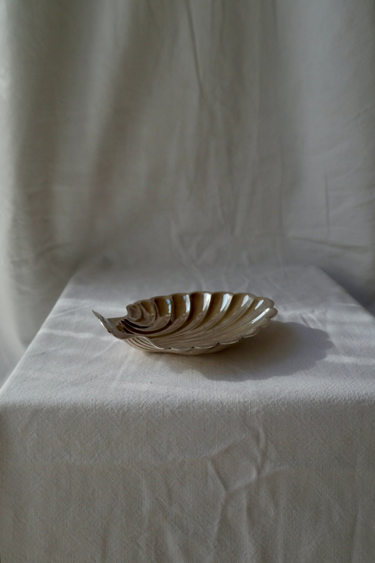 Silver plated shell trinket dish