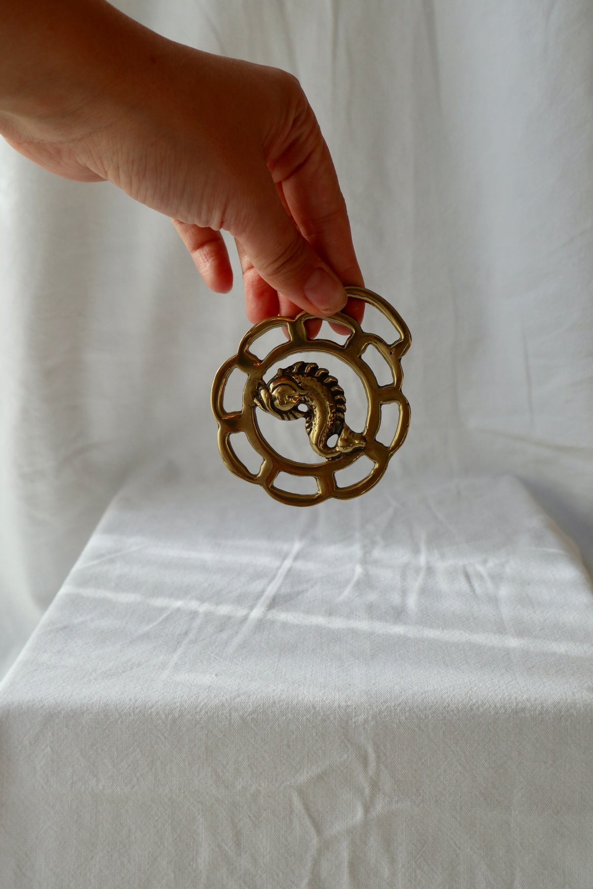 Vintage solid brass fish medallion