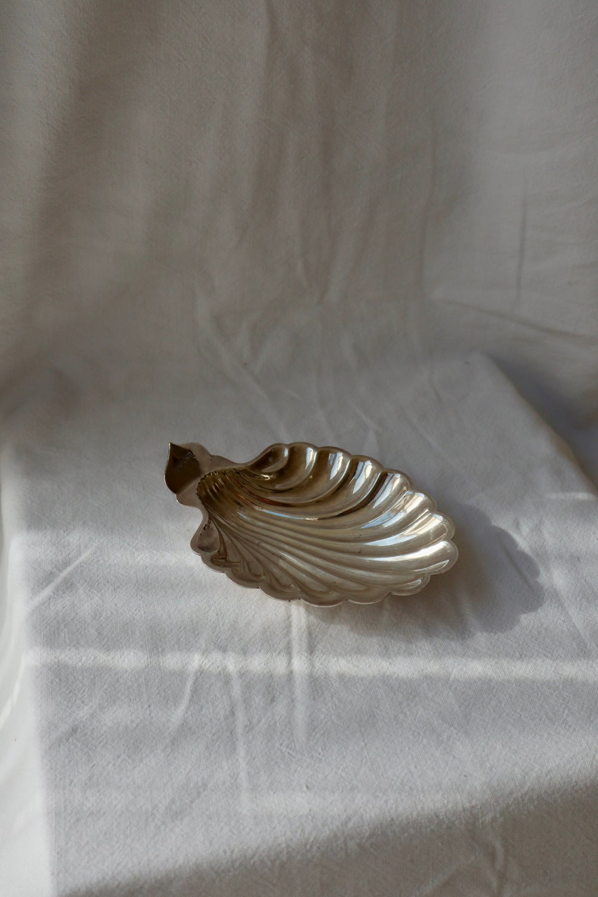 Silver plated shell trinket dish